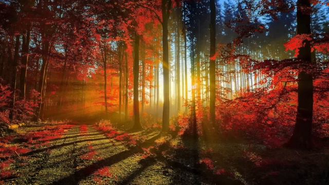 Vivaldi - 4 seasons - Вивальди 4 сезона - Времена года - полностью. смотреть онлайн