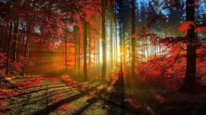 Vivaldi - 4 seasons - Вивальди 4 сезона - Времена года - полностью.