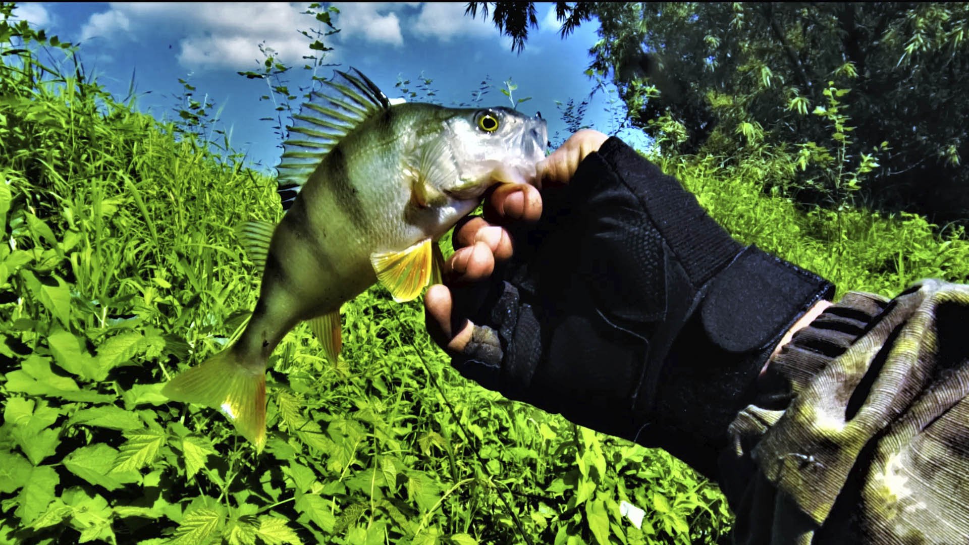 ВОЗВРАЩЕНИЕ НА МИКРОРЕЧКУ ловим окуня на отводной и тейл-спиннеры смотреть онлайн