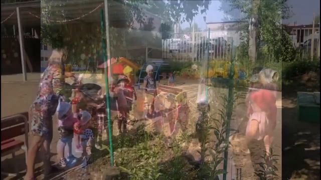 5 августа день светофора.mp4 смотреть онлайн