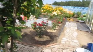 Любимой дачи  обзор.