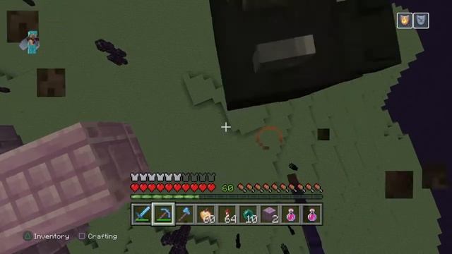 I checked end city (Minecraft) смотреть онлайн