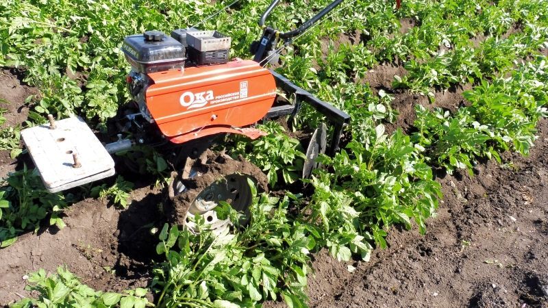 Заточка дисков и Второе окучивание картофеля - мотоблок Ока.