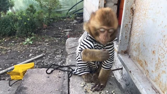 ЛЮСЯ ТОЛЬКО БЕЗ ОБИД!!!Но мы должни были тебе это сказать!!!Молчать не можем больше - МЫ ТЕБЯ ЛЮБИМ смотреть онлайн