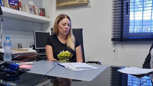 Покупка недвижимости в Египте. Налоги, новые законы, ошибки риэлторов. смотреть онлайн