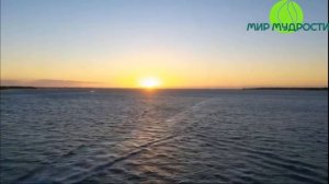 За пределами Сознания Муджи и НикОшо аудиокнига