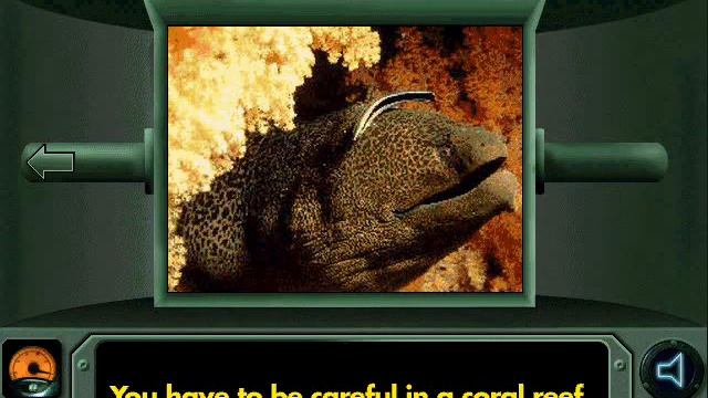 Undersea Adventure (Windows Version) Kid's Activities Walkthrough Part 4 (Ocean Tours)