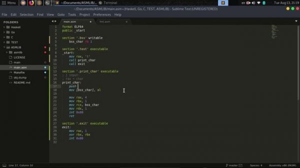 // Язык Ассемблера #2 [FASM, Linux, x86-64] //