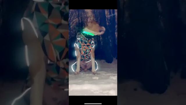 АУФ/Амстафф Спайк/первый снег щенка стаффа смотреть онлайн