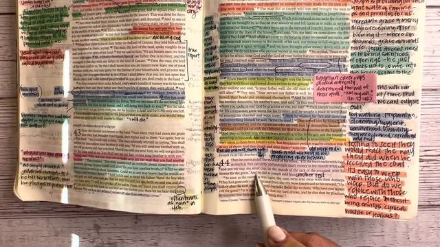 Study the Bible in One Year: Day 27 Genesis 43-45 смотреть онлайн