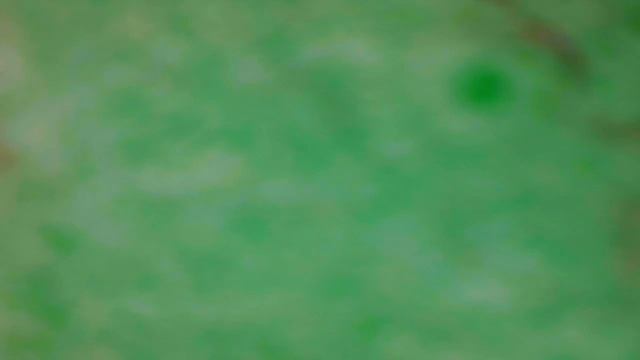 iphone 6s что-то с модемом смотреть онлайн