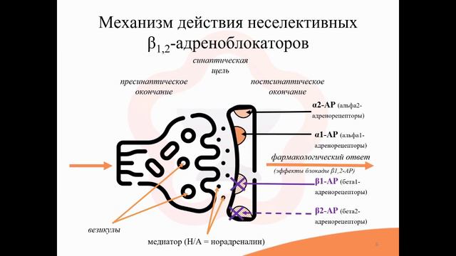 5.7. Бета-адреноблокаторы смотреть онлайн
