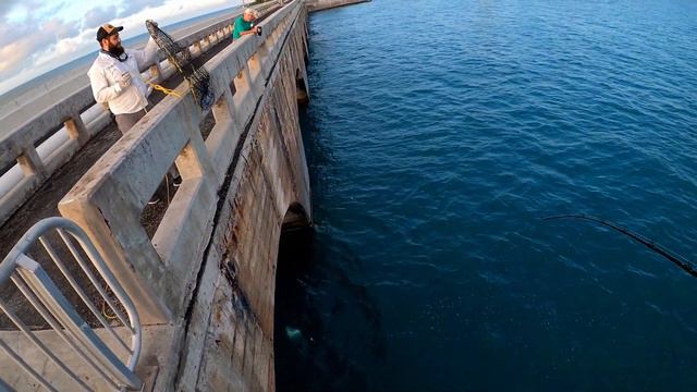 INSANE Permit Fishing With The Big Boys Viktor-landshark Ryan-JunoRyan смотреть онлайн
