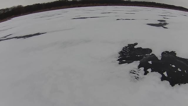 Крупный ротан на лесном озере смотреть онлайн