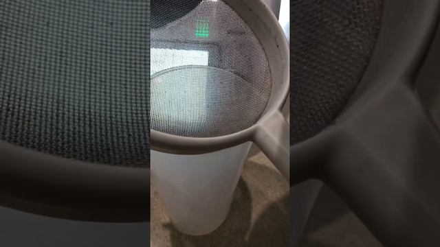 Рукколовое масло в Термомикс смотреть онлайн