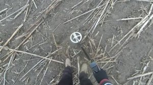 Что найдёт XP ORX после камрадов?!