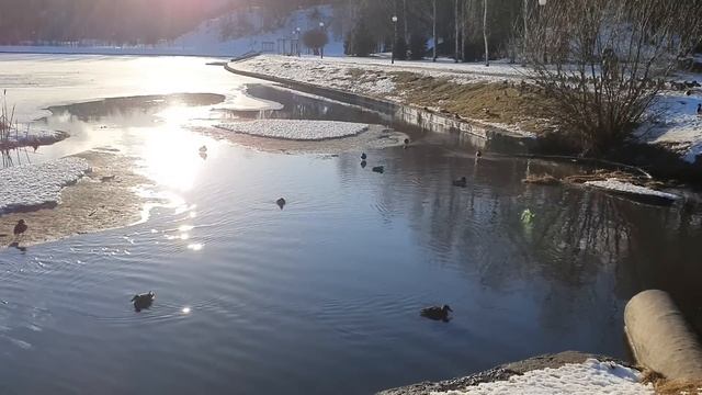 Лена и Ваня LIFE \ Лена удачно 