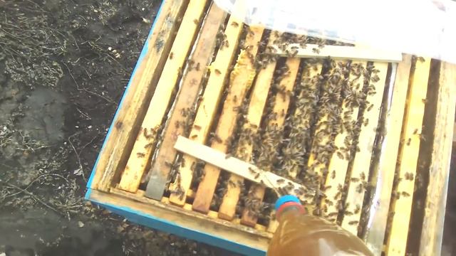 06.04.2018 Хороший день. Проливаю по улочкам КАС-81. Пчеловодство смотреть онлайн