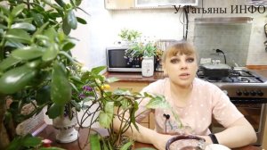 ✔️ НЕСКОЛЬКО КАПЕЛЬ творят ЧУДЕСА с КОМНАТНЫМИ РАСТЕНИЯМИ / Янтарная кислота для комнатных цветов