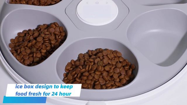Petwant F13 Six Meal Timed LED Display Automatic Pet Feeder смотреть онлайн