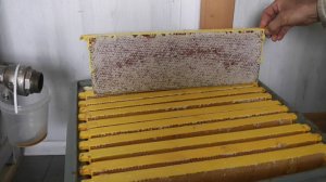 впечатление от  пластиковых рамок