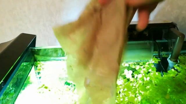 Мой аквариум-травник. Еженедельный уход. (My Aquarium. Weekly care.) смотреть онлайн