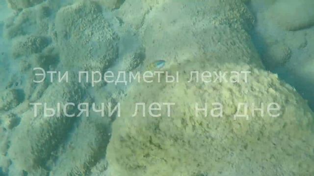 Amathus Limassol - underwater world смотреть онлайн