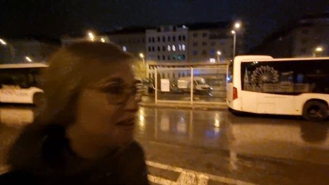 Исландия Часть 38: На автобусе из Вены в Мюнхен смотреть онлайн