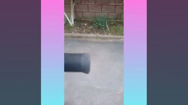 Обзор самоката смотреть онлайн
