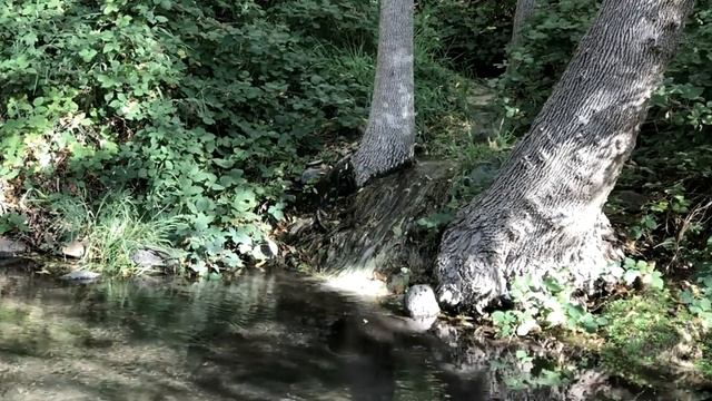 Успокаивающая музыка для сна 28 05 1 смотреть онлайн
