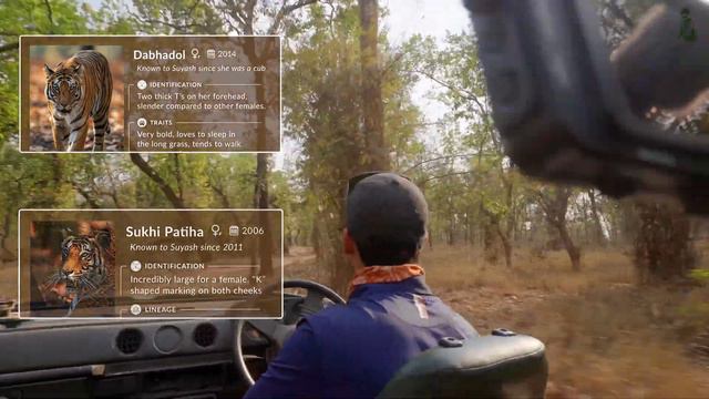 INDIA’S FIRST VIRTUAL SAFARI - EP3 | TIGER SAFARI LIVE | BANDHAVGARH NATIONAL PARK смотреть онлайн