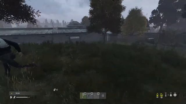 ? [#DAYZ] смотреть онлайн