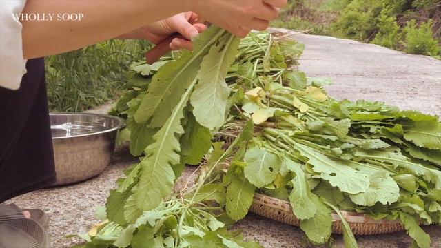 바빠지고 힘든 5월의 시골생활이지만 마음이 풍요로워요, 텃밭 열무김치 만들기, 모종 심기, Slowlife