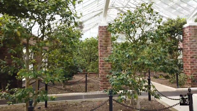 CAMELIA HOUSE AT PLANTING FILDS ARBORETUM. КАМЕЛИЯ ХАУС на «ПЛАНТИНГ ФИЛДС» ДЕДРАРИУМ смотреть онлайн