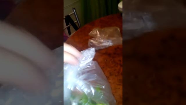 Результаты прививок цитрусовых растений смотреть онлайн