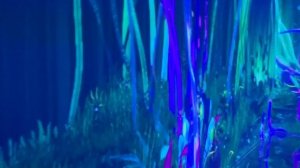 Обзор территории парк-отеля Окская Жемчужина