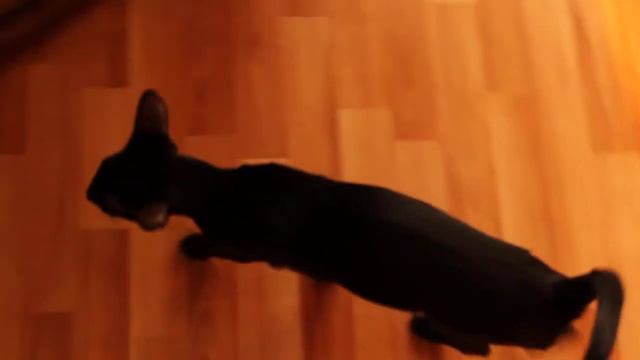 Тэфочка смотреть онлайн