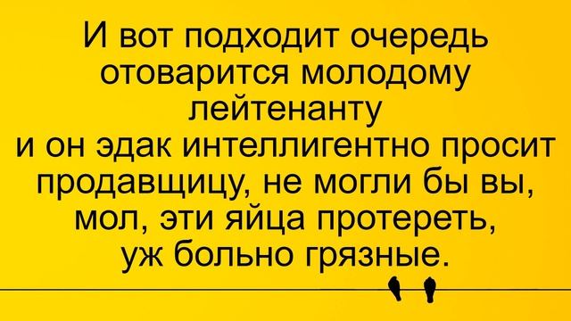 Продавщица и яйца лейтенанта... Лучшие длинные анекдоты и жизненные истории смотреть онлайн