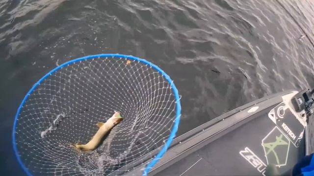 Андрей Питерцов о ловле щуки смотреть онлайн