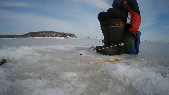 Камбала. февраль 2023. Рыбалка в приморском крае. смотреть онлайн
