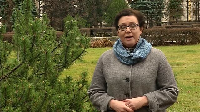 2019 11 12 Зелёная передача смотреть онлайн