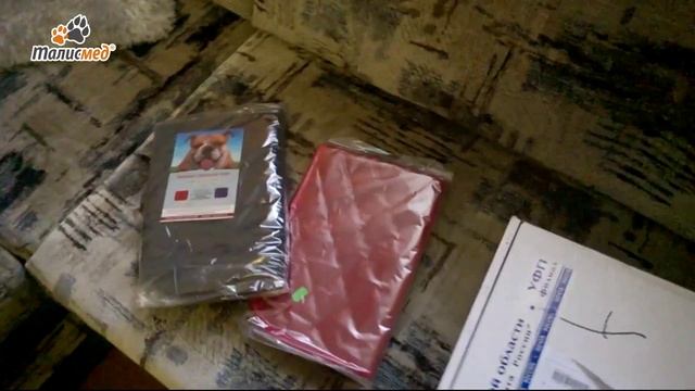 Отзыв Ирины о многоразовых пеленках для собак смотреть онлайн