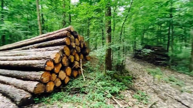 Озеро (нем. Kreuzbergsee) «Кройцберг» и его окрестности. смотреть онлайн