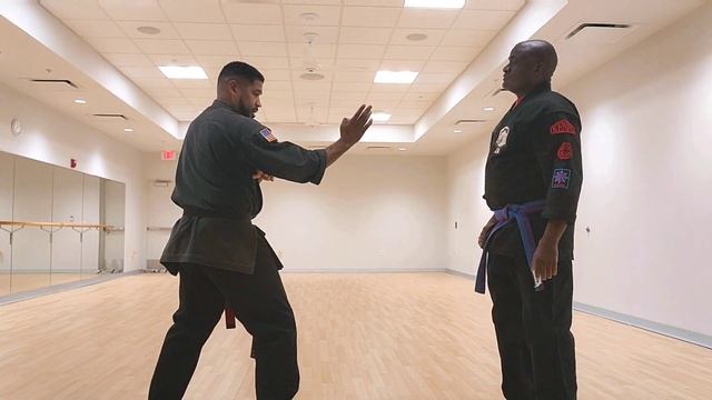 American Kenpo Yellow Belt 1-5 #selfdefense #karate #kenpo #techniques #fight #kungfu #martialarts
