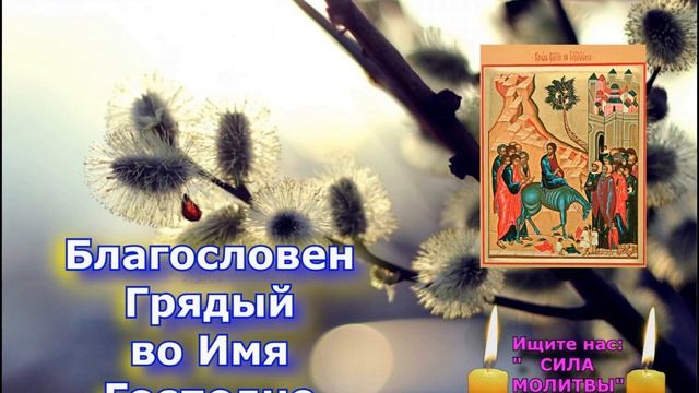 Вербное воскресение - Сегодня обязательно произнеси молитву Величание Входу Господню в Иерусалим смотреть онлайн