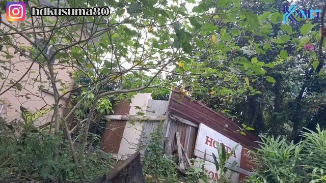 Playlist IPTV Ott Navigator / Tivimate - Edisi Tahun Baru 2024