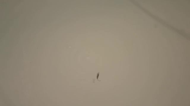 Видео игра в отвес зимняя отвесная блесна БлесМорк Байкал один крючок