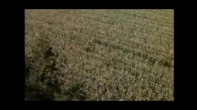 Hunter смотреть онлайн
