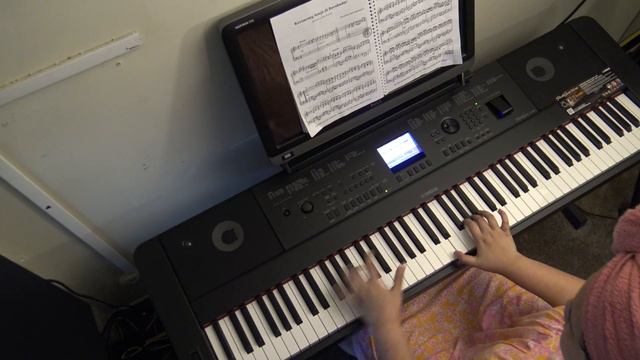 Keroncong Senja Di Borobudur Played On Yamaha DGX-660