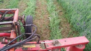 Т - 16 с польской роторной косилкой Wirax 1,35 часть 2